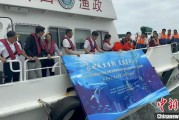 问事摇卦浙江今年计划放流种类海洋水生生物苗种超15亿单位