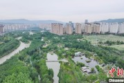 问事摇卦西宁市举办六五环境日主题宣传活动